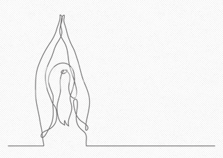 えりすぐりのレッスンをご自宅で