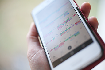 スケジュールのご案内 スケジュールのご案内